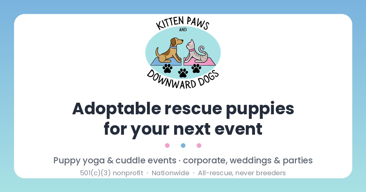 Private Rescue Puppy Yoga by kitten paws downward dogs